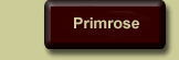 Glenbriar Primrose
